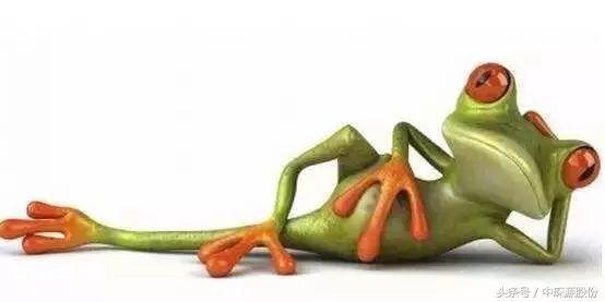 国产福利小青蛙视频,治愈系动画，带你走进青蛙的欢乐世界