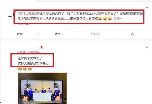 国产黑马差评视频播放,揭秘网络热点的另一面