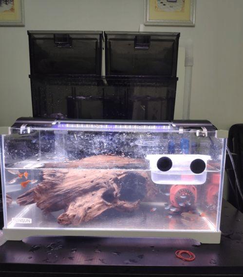 国产鱼缸水泵操作视频播放,轻松掌握水质循环奥秘