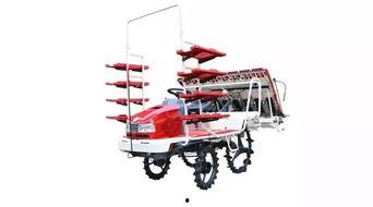 国产大型插秧机视频,高效农业机械化新篇章