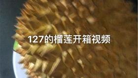 国产榴莲授粉视频在线播放,高清视频带你揭秘神秘过程