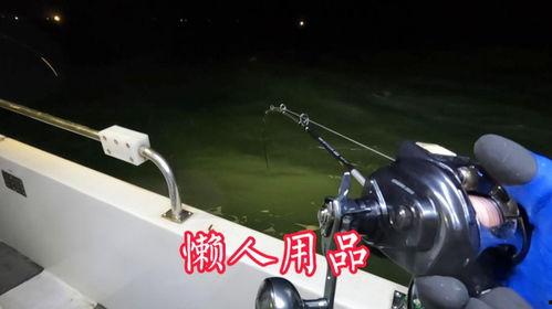 国产电绞轮介绍大全视频,性能特点与市场应用一览