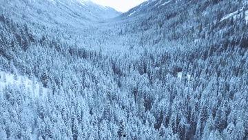 国产峰峰雪地视频