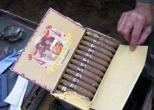 国产雪茄小盒拆解图视频,拆解图视频深度解析